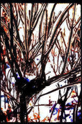 winter trees silhouette Vintage A4 Photo Print
