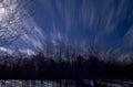 winter trees sky 1980s 1990s A4 Photo Print