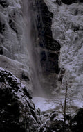 winter waterfall cascade 1980s 1990s A4 Photo Print