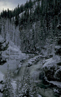 winter waterfall shoshone 1980s 1990s A4 Photo Print