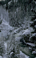winter waterfall yellowstone 1980s 1990s A4 Photo Print