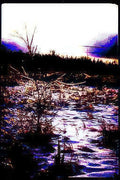 winter wetland sunset 2 Vintage A4 Photo Print