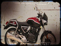 wolf 300 A4 Photo Print Motorbike Vintage Aged