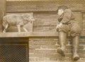 wolf encounter zoo Vintage world war A4 Photo Print