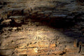 wood log texture 1980s 1990s A4 Photo Print