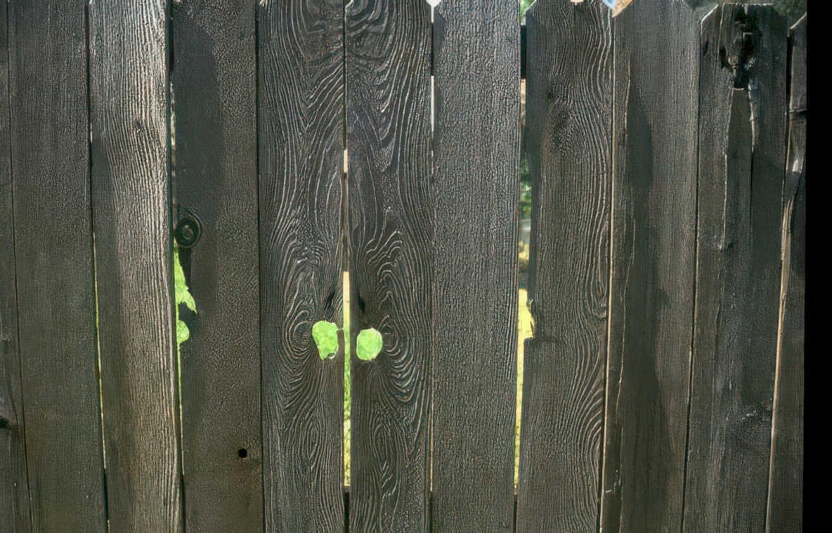wooden fence lichen Vintage A4 Photo Print