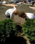 workers trees zone1980s 1990s A4 Photo Print 42
