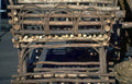 woven branch chair Vintage A4 Photo Print