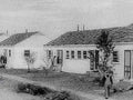 wpa housing willow1980s 1990s A4 Photo Print