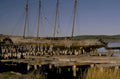 wrecked schooner sea 1980s 1990s A4 Photo Print