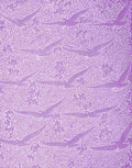 x African Birds 200 100 A4 Photo Print
