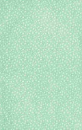 x Clover 100 100 A4 Photo Print