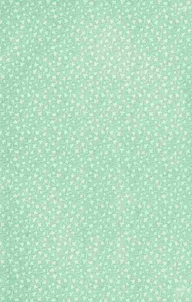 x Clover 100 100 A4 Photo Print