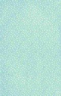 x Clover 120 100 A4 Photo Print