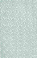 x Clover 120 40 A4 Photo Print