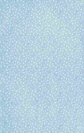 x Clover 140 100 A4 Photo Print