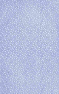 x Clover 160 100 A4 Photo Print