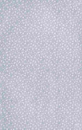 x Clover 160 40 A4 Photo Print