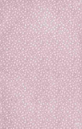 x Clover 240 60 A4 Photo Print