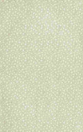 x Clover 40 60 A4 Photo Print