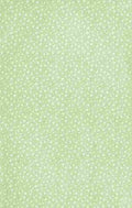 x Clover 60 100 A4 Photo Print