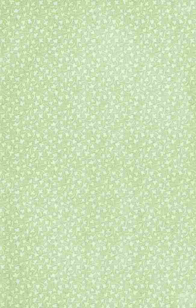 x Clover 60 100 A4 Photo Print