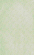 x Clover 60 60 A4 Photo Print