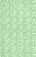 x Clover 80 100 A4 Photo Print