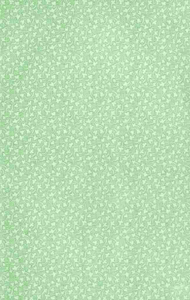 x Clover 80 100 A4 Photo Print
