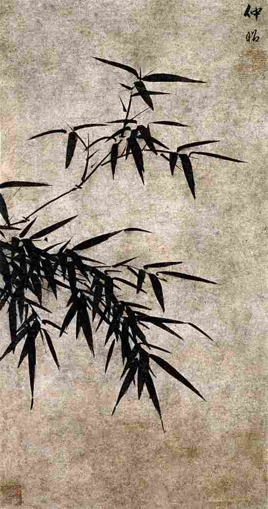 xia chang Bamboo Art A4 Photo Print