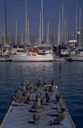 yachts gulls harbor 1980s 1990s A4 Photo Print