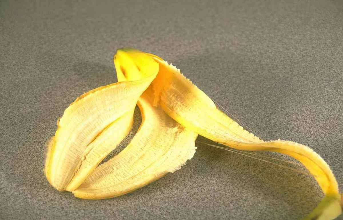 yellow banana peel A4 Photo Print