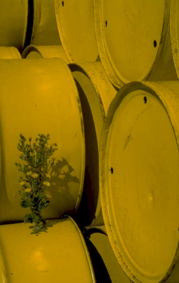 yellow barrels drums 1980s 1990s A4 Photo Print