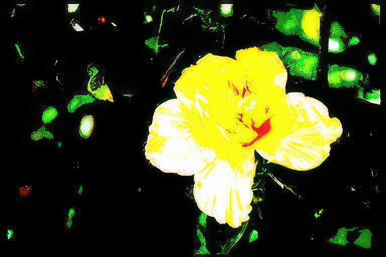 yellow daffodil flower Vintage A4 Photo Print