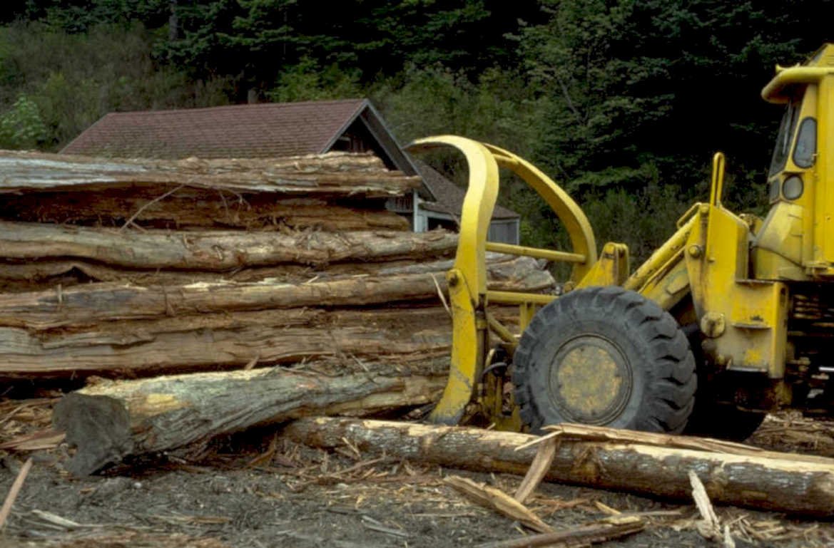 yellow log loader 1980s 1990s A4 Photo Print