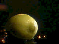 yellow potato bokeh1980s 1990s A4 Photo Print