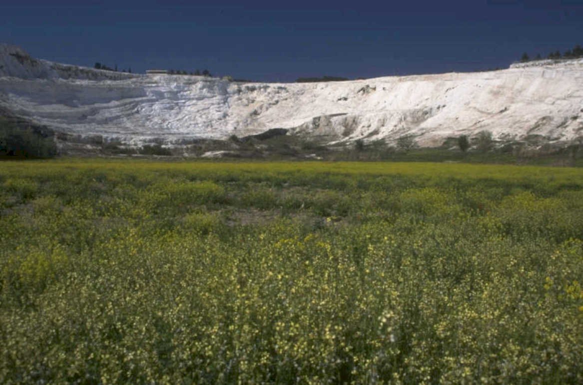 yellow rapeseed quarry 1980s 1990s A4 Photo Print