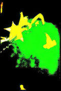 yellow starburst bird Vintage A4 Photo Print