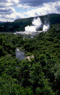 yellowstone geothermal steam 1980s 1990s A4 Photo Print