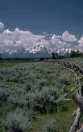 yellowstone landscape mountains 1980s 1990s A4 Photo Print