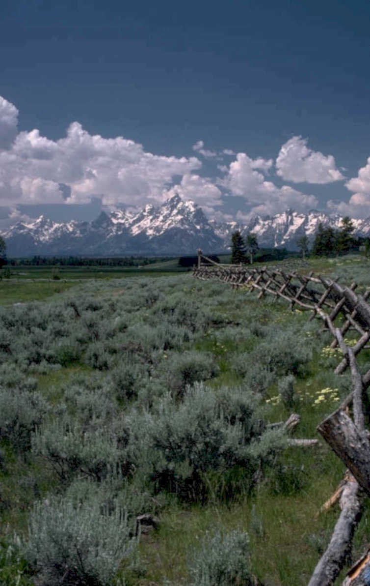 yellowstone landscape mountains 1980s 1990s A4 Photo Print