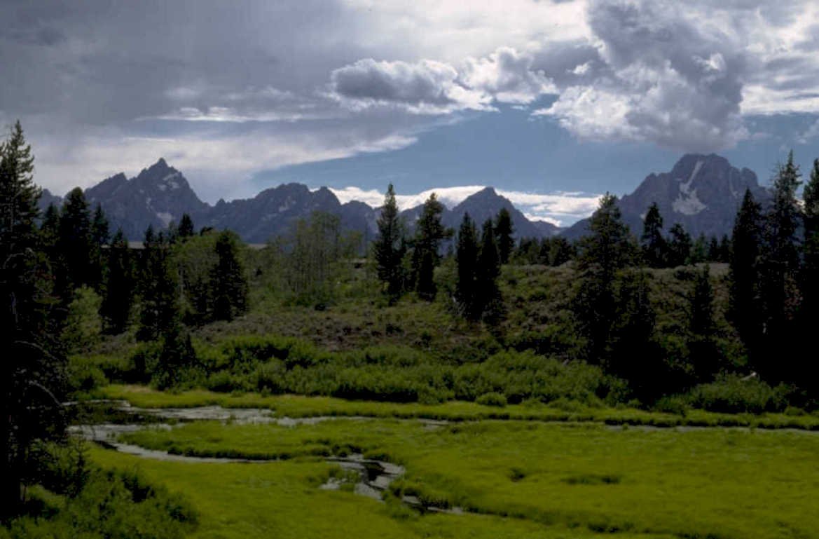 yellowstone meadow peaks 1980s 1990s A4 Photo Print