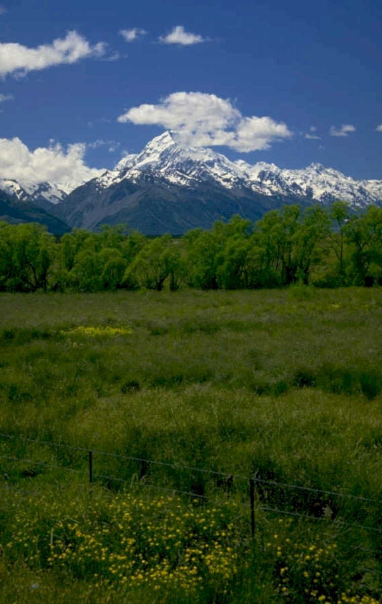 yellowstone mountains meadow 1980s 1990s A4 Photo Print