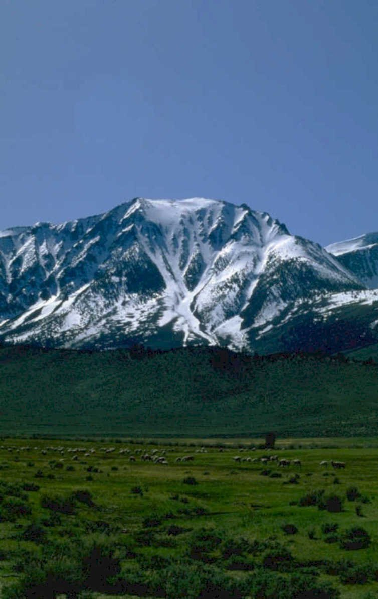 yellowstone peak meadow 1980s 1990s A4 Photo Print