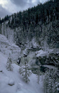 yellowstone winter falls 1980s 1990s A4 Photo Print