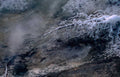 yellowstone winter spring Vintage A4 Photo Print