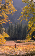 yosemite fall landscape 1980s 1990s A4 Photo Print
