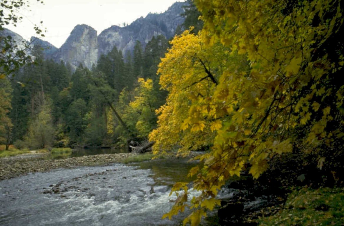 yosemite river autumn 1980s 1990s A4 Photo Print