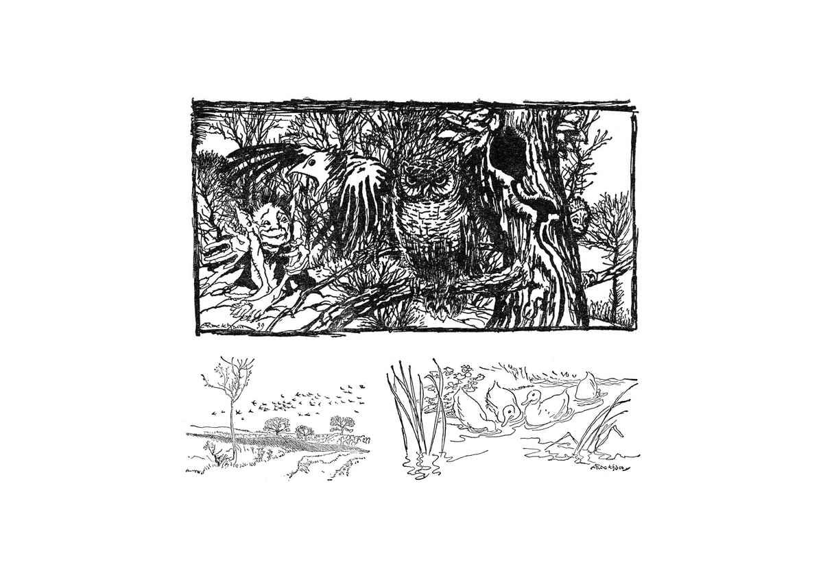 z Wind in the Willows Arthur Rackham scketch A4 Photo Print