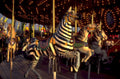 zebra carousel county 1980s 1990s A4 Photo Print